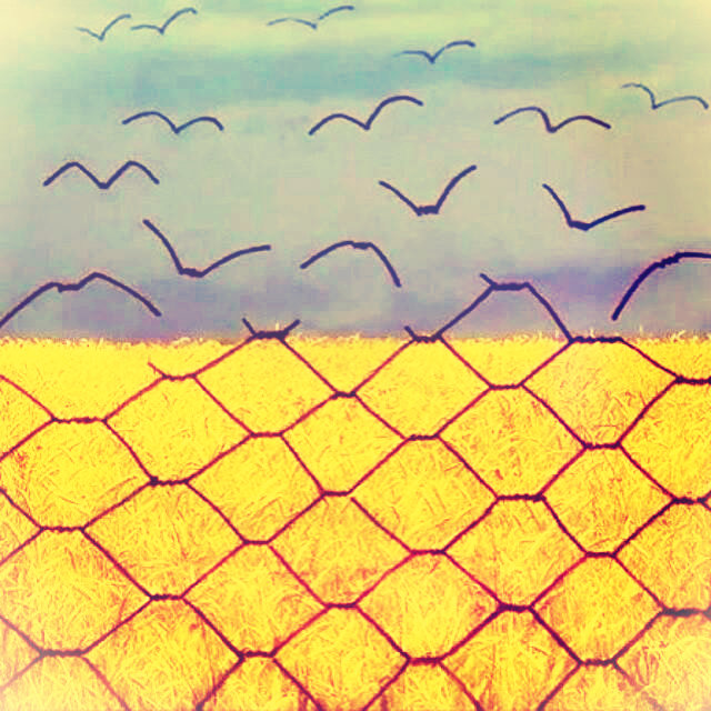 ukr-flag-fence